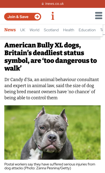 Dangerous dog near miss?