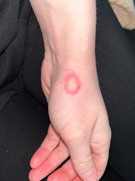 Help! Wtf is this?