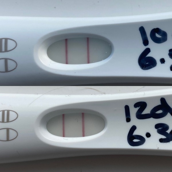 BFP 19/08/23 - anyone else?