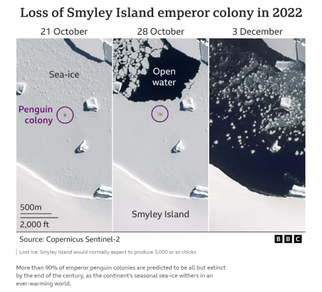 Terribly sad - I could cry.