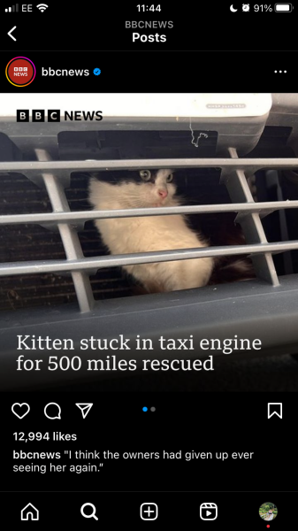 To break into my new neighbours house *THREAD 2*