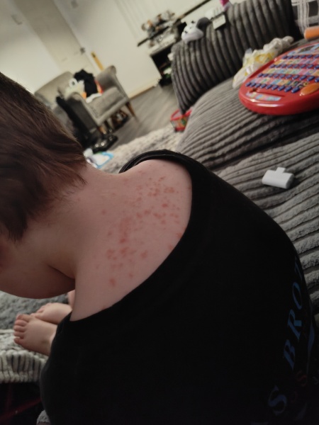 Can someone tell me what this is??