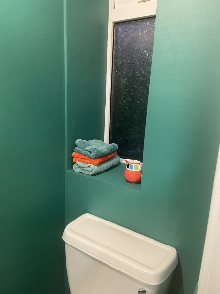 Plants/ ideas to pep up WC