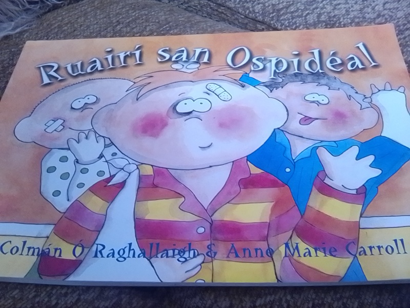 Irish (the language)