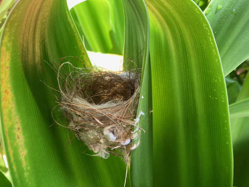 Thread 9 - TalkLair: “Russell's teapot goes on being round”