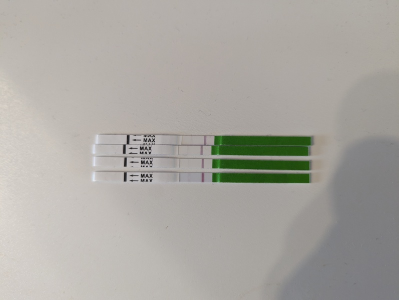 OPK Progression pics