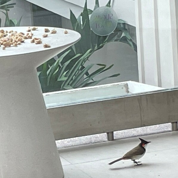 Come and tell me your dull and unexciting news 26: Calmly through the day 