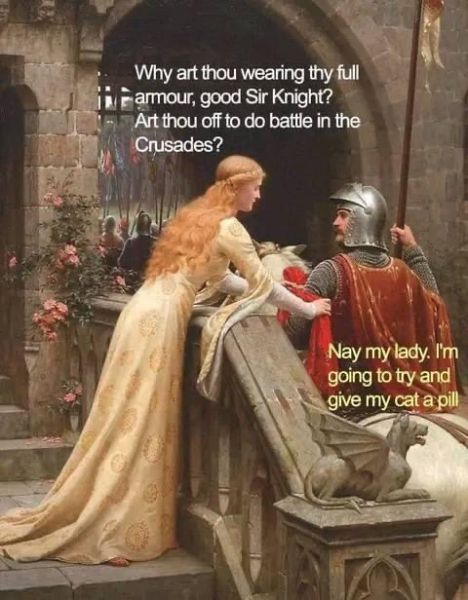 How can I disguise a tablet for a clever cat?