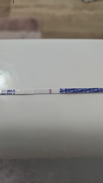 Pregnancy test
