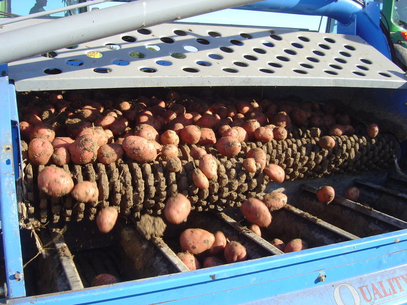 I have just bought a grit bin