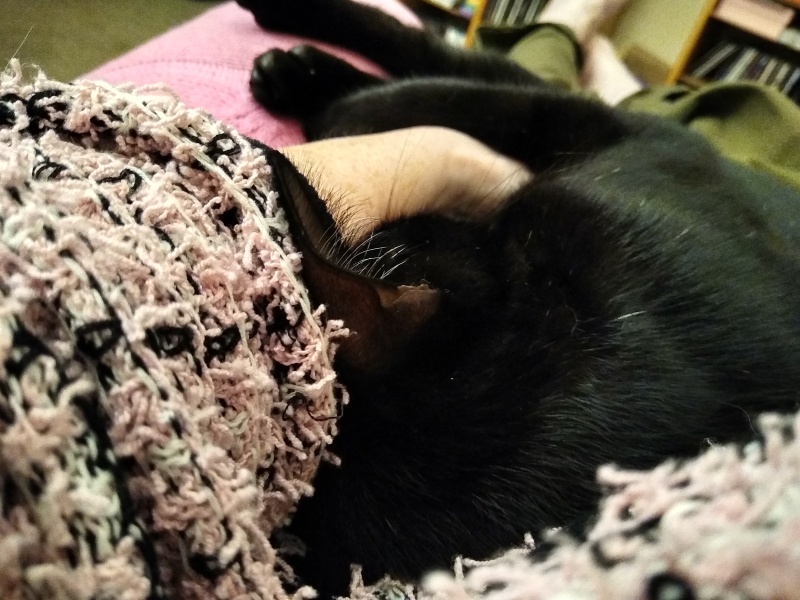 Thread 9 - TalkLair: “Russell's teapot goes on being round”