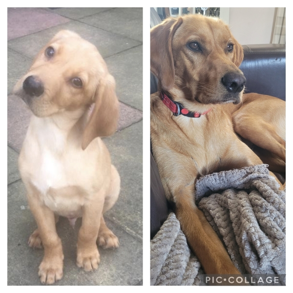 Meet Walter...
