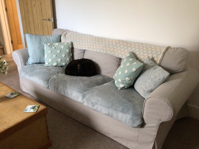 Where did you did you get your sofa?