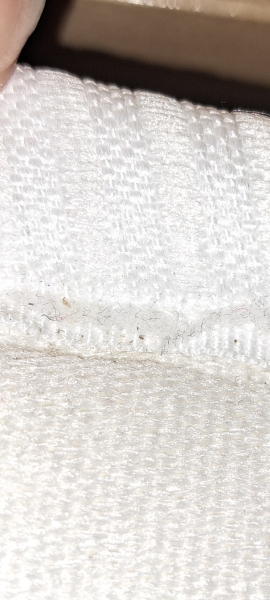 Bed bugs?