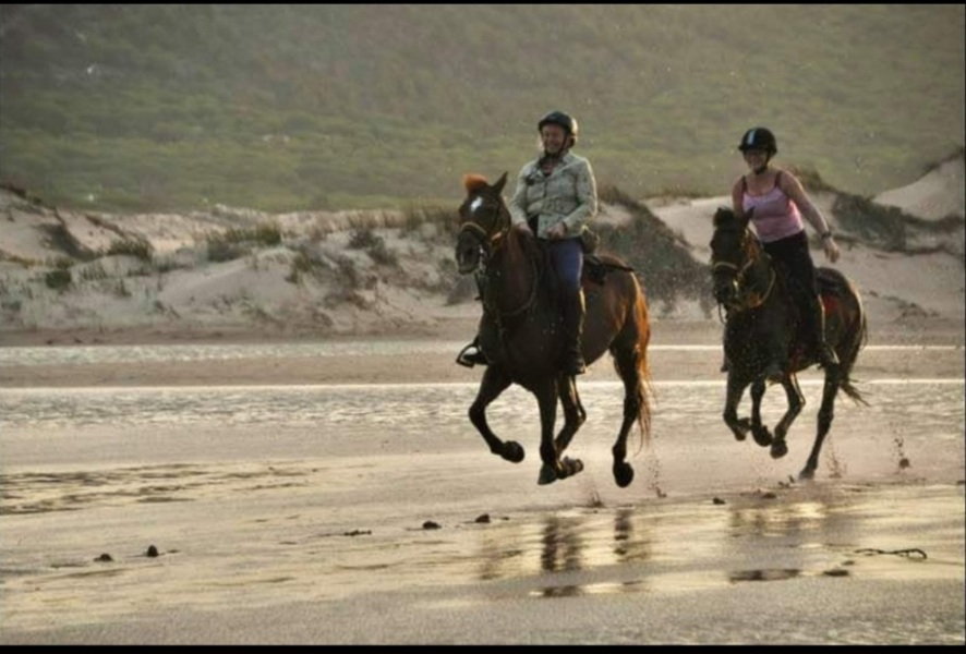 Horsey holiday of a life time