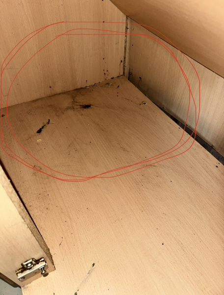AIBU to expect landlord to replace kitchen?