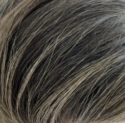 Been using a grey blender (grey defy shampoo) on my hair and I can’t decide what the colour looks like… (pic)