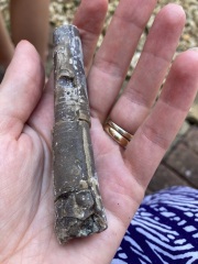 Any geologists about?!