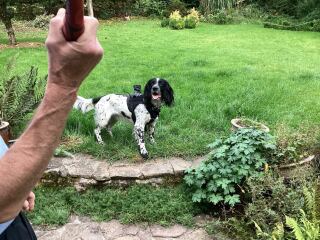 Thread 9 - TalkLair: “Russell's teapot goes on being round”