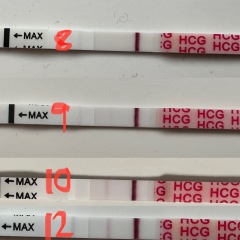 2DPO