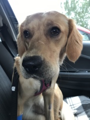 BBTing our way to a BFP in August 🎉