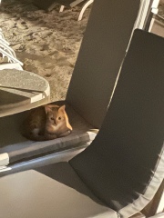 Come and tell me your dull and unexciting news 26: Calmly through the day 