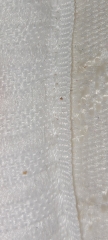 Bed bugs?