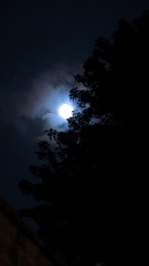 The Moon tonight