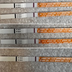 1DPO... Any tww buddies? 
