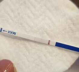 TTC May 2023 💖✨ previous MC March 2023