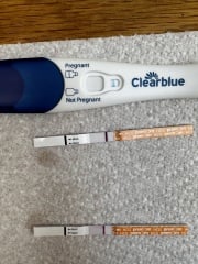 Anyone trying for a 3rd child?