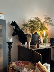 Trying to conceive over 40 part 4