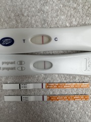 Anyone trying for a 3rd child?