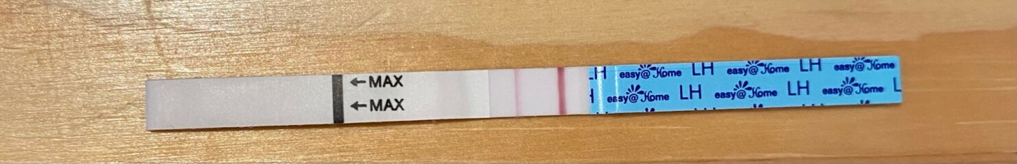 Positive OPK?