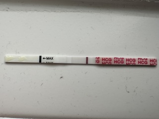 2DPO