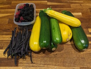 The Vegetable Patch Mark 2