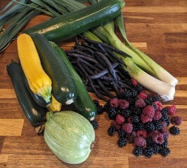 The Vegetable Patch Mark 2