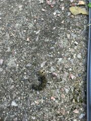 What is this?