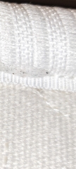 Bed bugs?