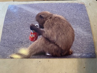 50 Books Challenge 2023 Part Seven 