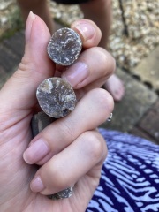 Any geologists about?!