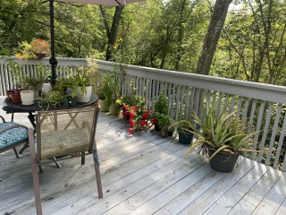 Come and tell me your dull and unexciting news 26: Calmly through the day 