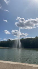 The Saxenda Sisterhood 