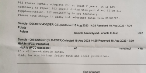 Blood test results, can anyone read them please?