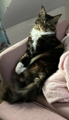 Come and tell me your dull and unexciting news 26: Calmly through the day 