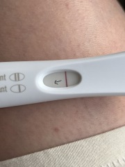 Clear blue test. Evap line or positive