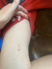 Any idea what this is?