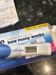 pregnancy test