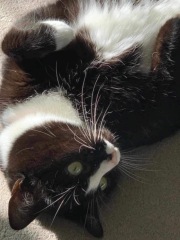 Trying to conceive over 40 part 4