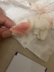 bleeding